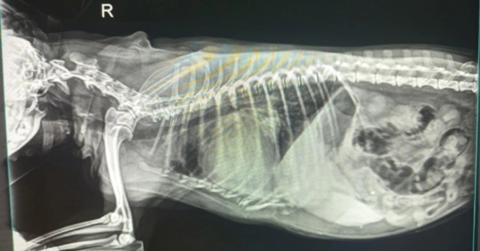 image-4